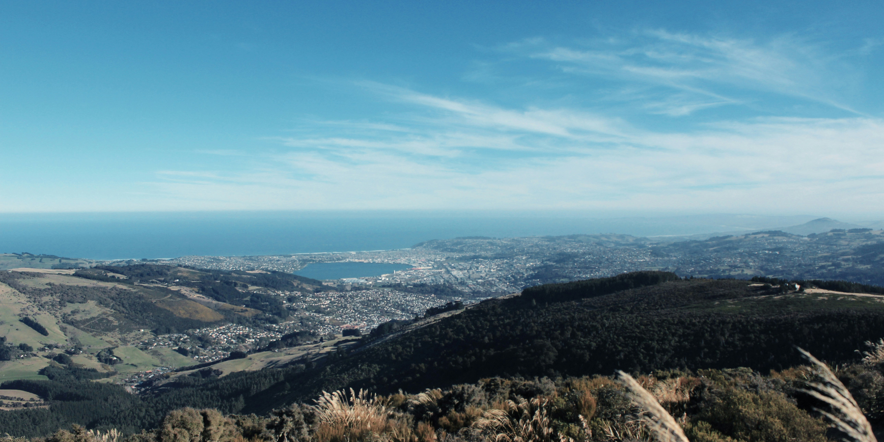 Electric Scooters in Dunedin: Redefining Urban Mobility