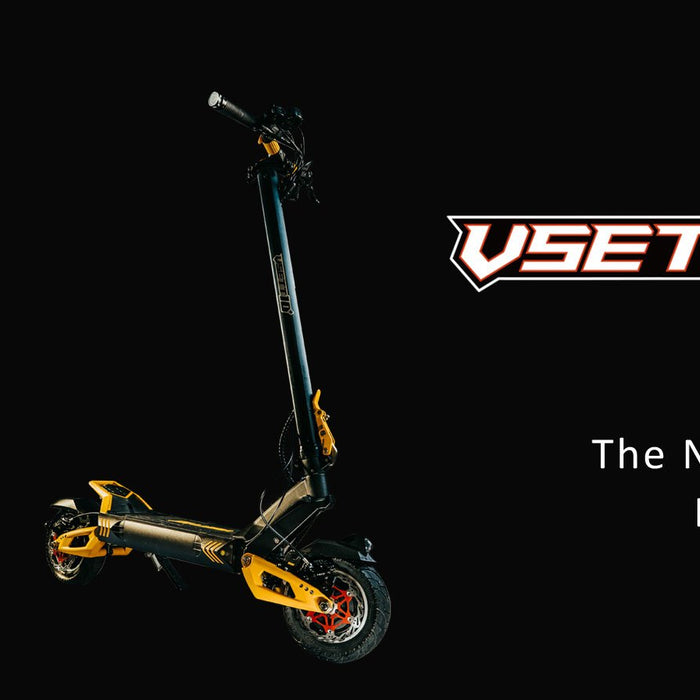 Vsett 10+ Electric Scooter