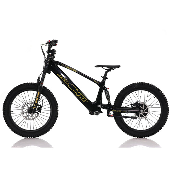AZONIC Flow 20 (AZF-20) - Electric Balance Bike