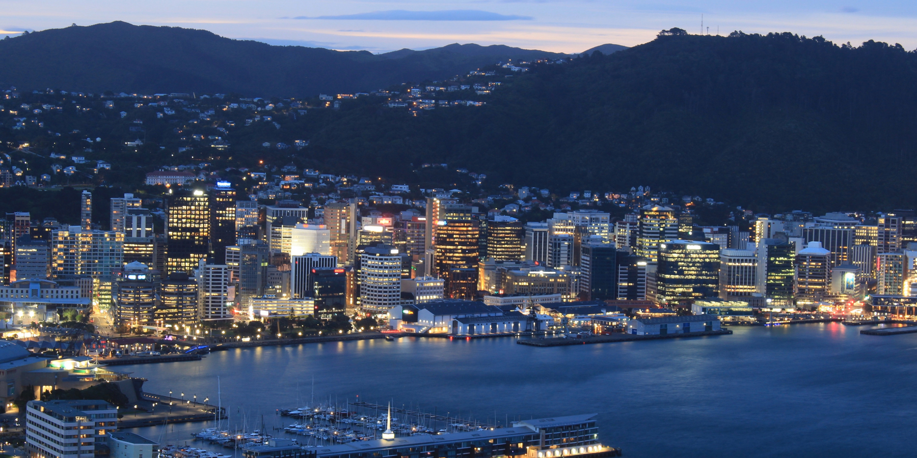 Electric Scooters in Wellington