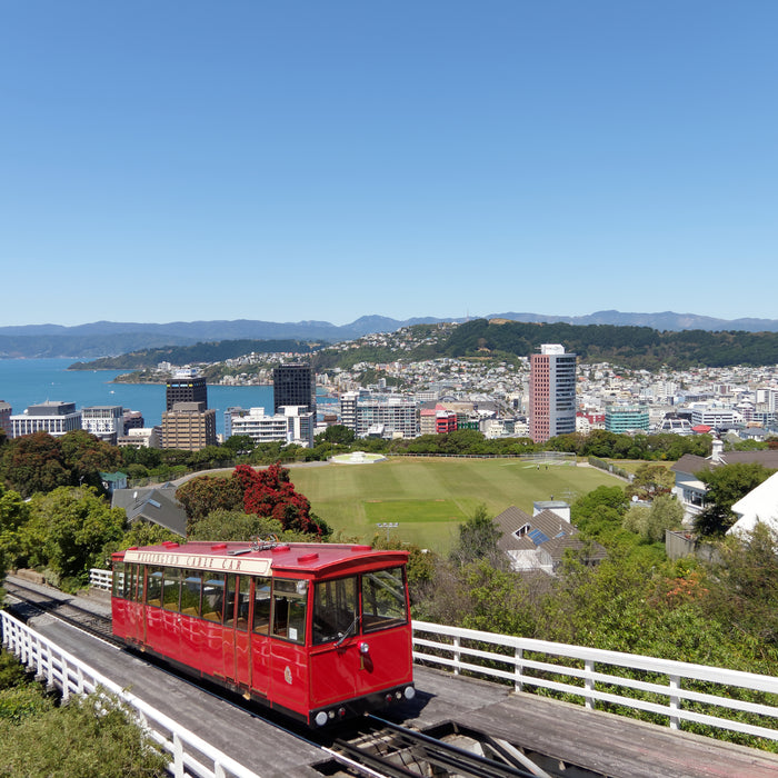 Best Places to Ride E Scooters in Wellington