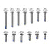 QUAD LOCK Replacement Screw Set - V2