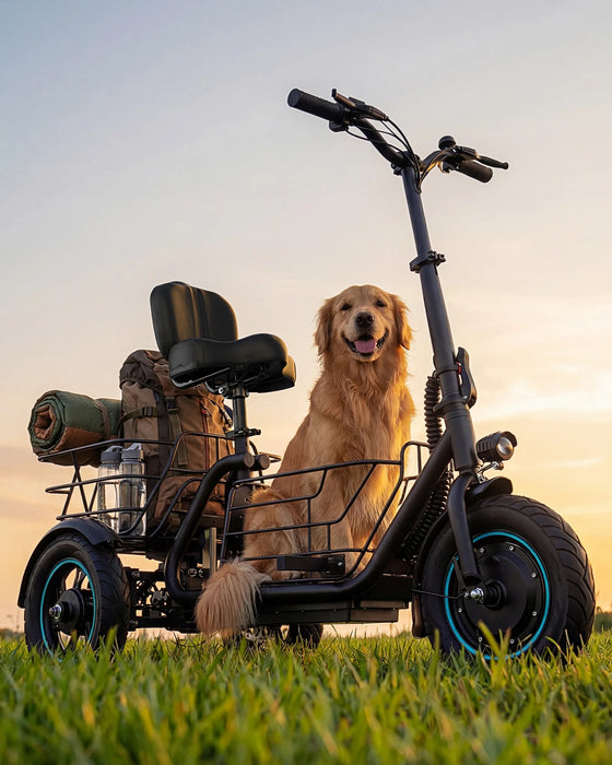 Gyroor C5 Electric Trike - Popular Seated Trike with Dual Baskets 20km/h💥Save $400 - Pre-Order